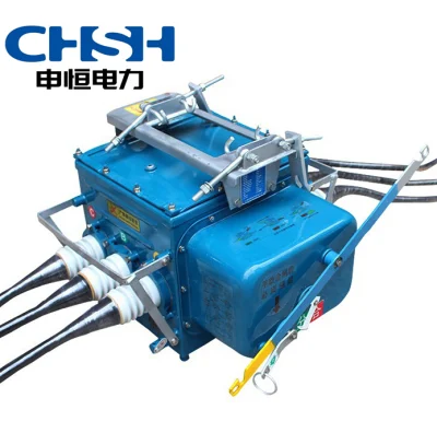  Vacuum Circuit Breaker Outdoor Boundary Switch Fzw28-12series 12kv Breaking Material Mechanical Type