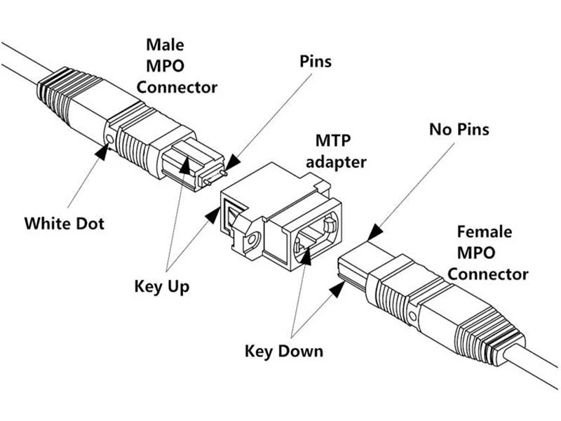 MTP MPO Fiber Optic Adapter Flange Coupler Connector