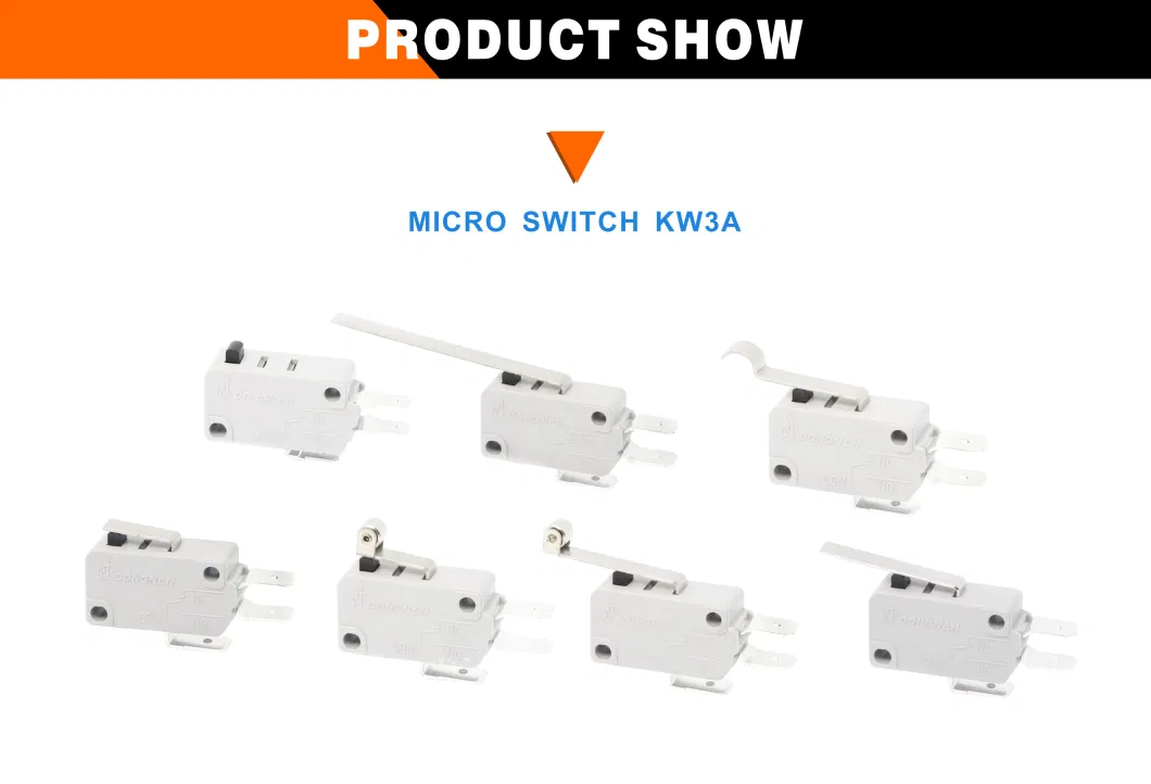 Factory Supplier Snap Action Switch Kw3a Microwave Oven Machines Micro Switches
