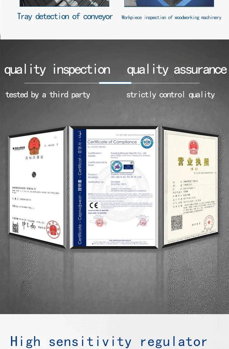 Roller Swing Arm Mechanical Type Stable Performance and Durable Limit Switch