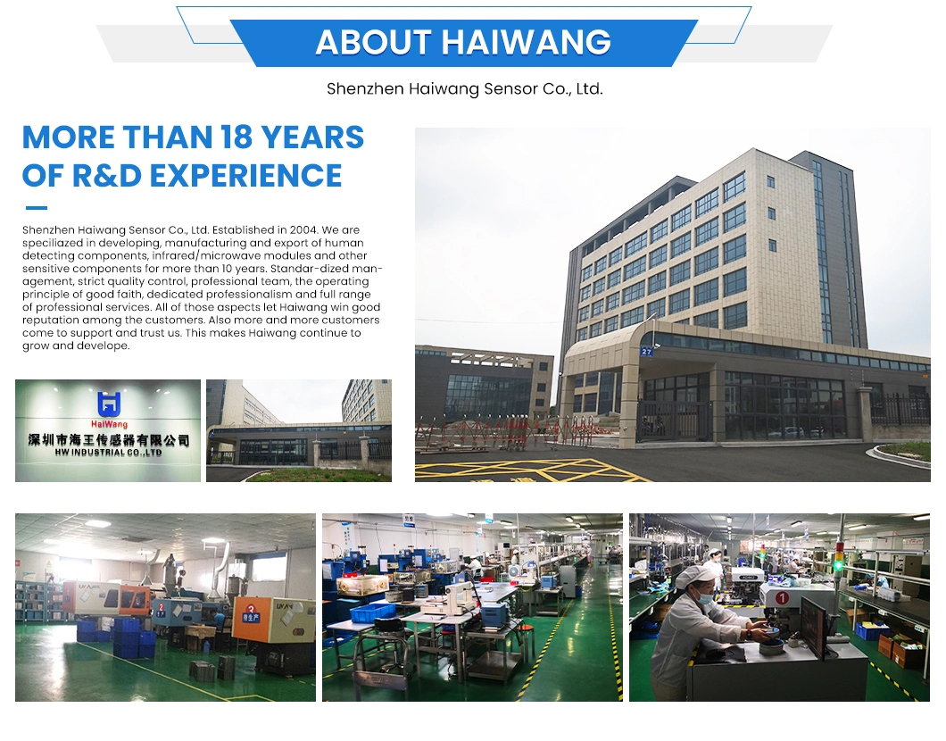 Haiwang Sensor RF PIR Sensor China Engine Sensors Suppliers Customized Capacitance Sensor Theory PIR046b Pyroelectric Infrared Digital Sensor for Mixing System