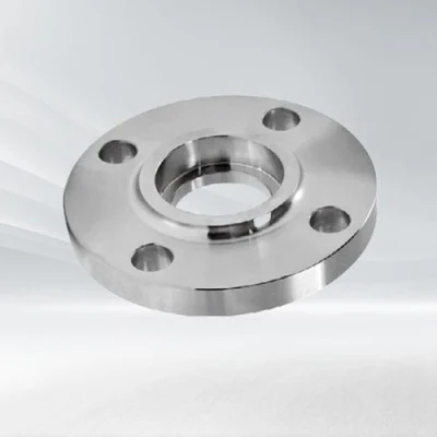 2&quot; DN50 Class300lb Stainelss Acero casquillo brida de soldadura SW brida Brida RF China