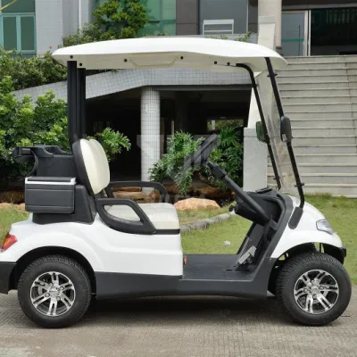 Ulela Custom Golf Cart Dealership Stepless Speed Change Golf Cart 2 asientos China 2 asientos Single Golf Buggy