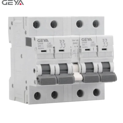 Interruptor de transferencia de bloqueo MCB de bloqueo mecánico Geya 6-63A Interruptor MCB mini