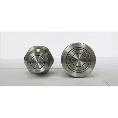 Conector de acoplamiento rápido hidráulico Naiwo Flush face SS316 Fábrica