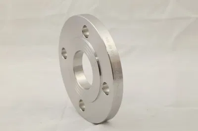 Brida de chapa de acero inoxidable forjado RF 316 DN100pn16 estándar de China
