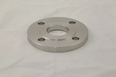 Brida de chapa de acero inoxidable forjado RF 316 DN100pn16 estándar de China