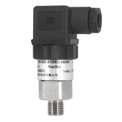 SS304 316 Mecánica compacta con interruptor de presión ajustable