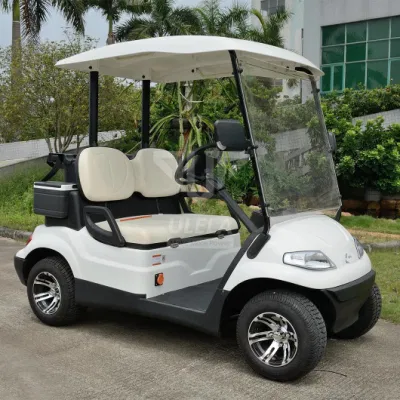 Ulela Custom Golf Cart Dealership Stepless Speed Change Golf Cart 2 asientos China 2 asientos Single Golf Buggy
