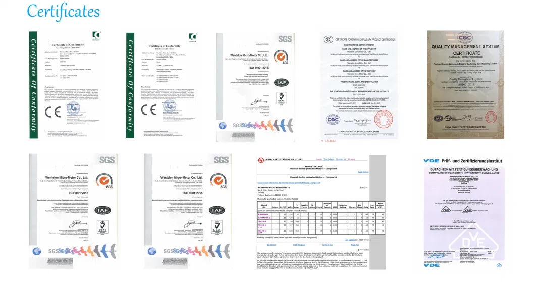 China Supplier/Facotry RF-370 DC Motor for RC Helicopter