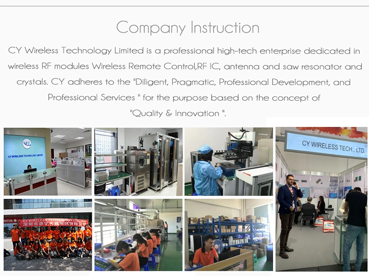 Cyf4455b Sot23-6 300MHz to 450MHz Integrated Circuit Wireless RF Transmitter Chip IC