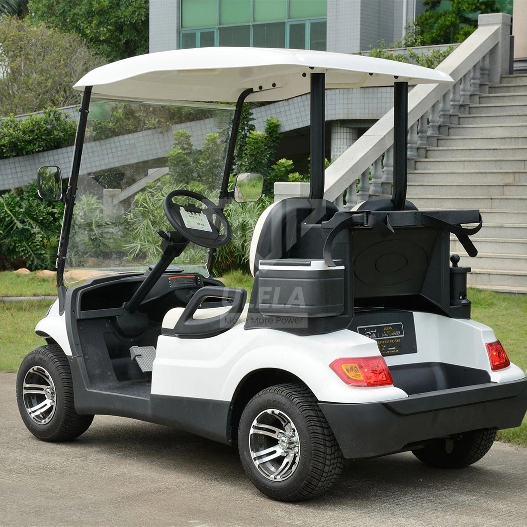 Ulela Custom Golf Cart Dealership Stepless Speed Change Golf Cart 2 Seater China 2 Seater Single Golf Buggy