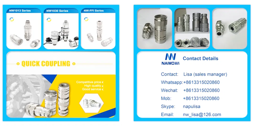 Naiwo Flush Face SS316 Hydraulic Quick Coupler Quick Coupling Connector Factory