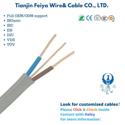  Cavo piatto CE elevatore H03VV-F filo di rame Rvvb linea di monitoraggio Cavo elettrico coassiale impermeabile per controllo elettrico in rame