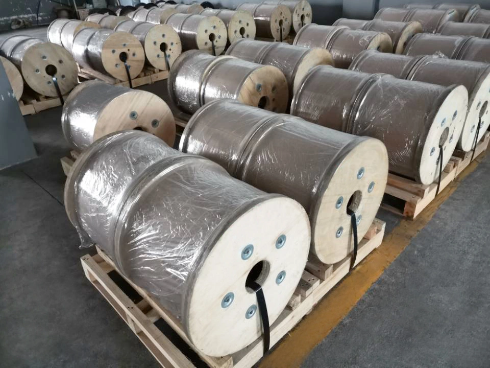 CCS Wire Copper Clad Steel Wire for Coaxial Cable