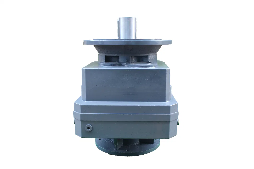 RF Series Coaxial Gearbox with Servo Motor with Flange Connection