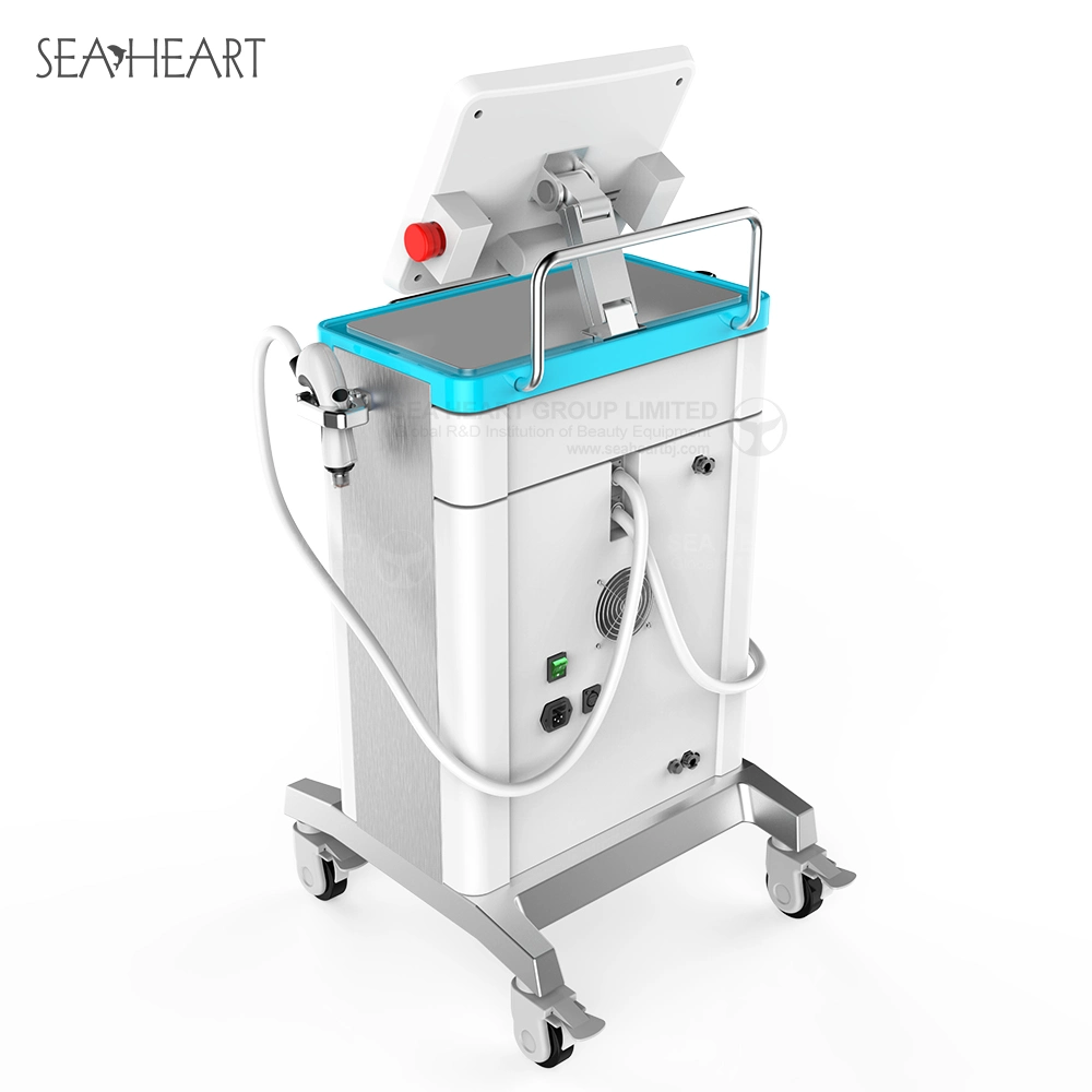 Hot Sale Top Supplier Face Machine Lifting RF Microneedling Machine