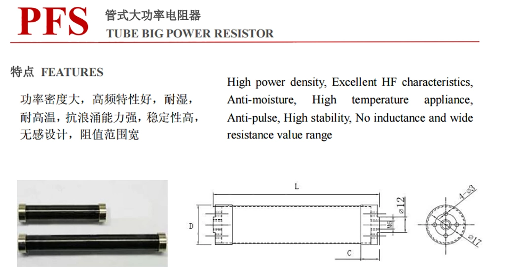 Hot Sale Non-Inductive Rig8b Series 200W 10g Ohm High Voltage Divider