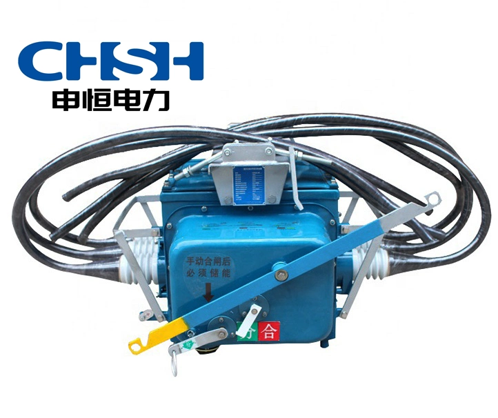 Vacuum Circuit Breaker Outdoor Boundary Switch Fzw28-12series 12kv Breaking Material Mechanical Type