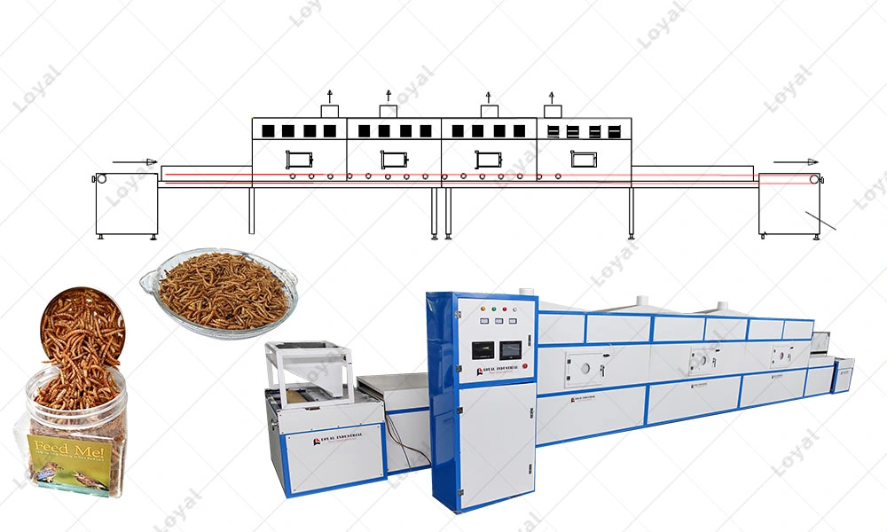 Industrial Drying Mealworm Insect Microwave Baking Equipment Industrial Mealworm Microwave Vacuum Oven