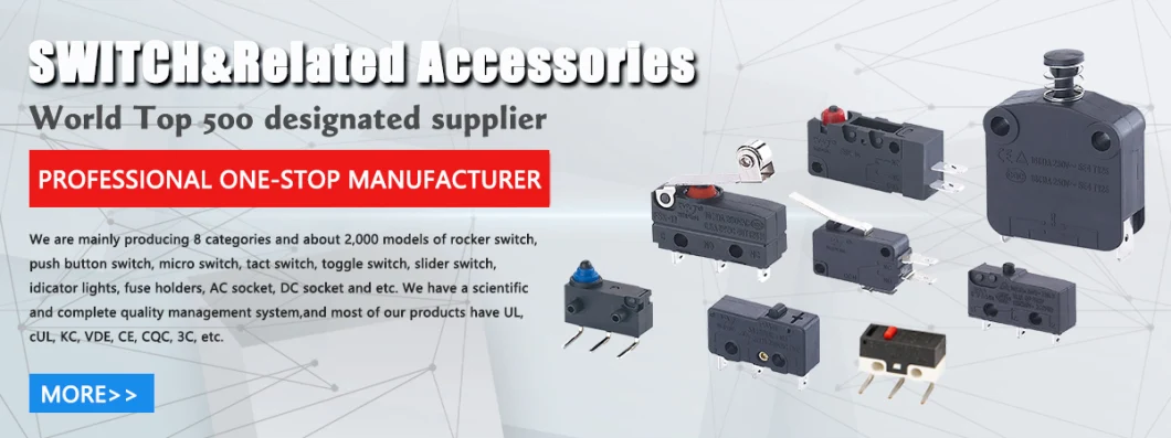 China Switch Supplier Can Be Customized Sp/St Kw11 Roller Lever Micro Switch