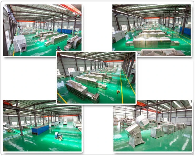 Popular Design Factory Use in Pharmaceutical Industry Best Quality Tunnel Conveyor Belt Microwave Baking Oven Made in China Easy to Use Commercial Oven