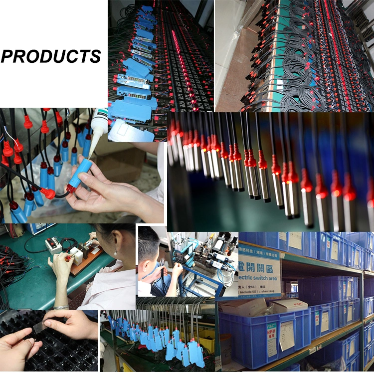 Factory High Speed Ring Counting Sensors Wired Proximity Switch