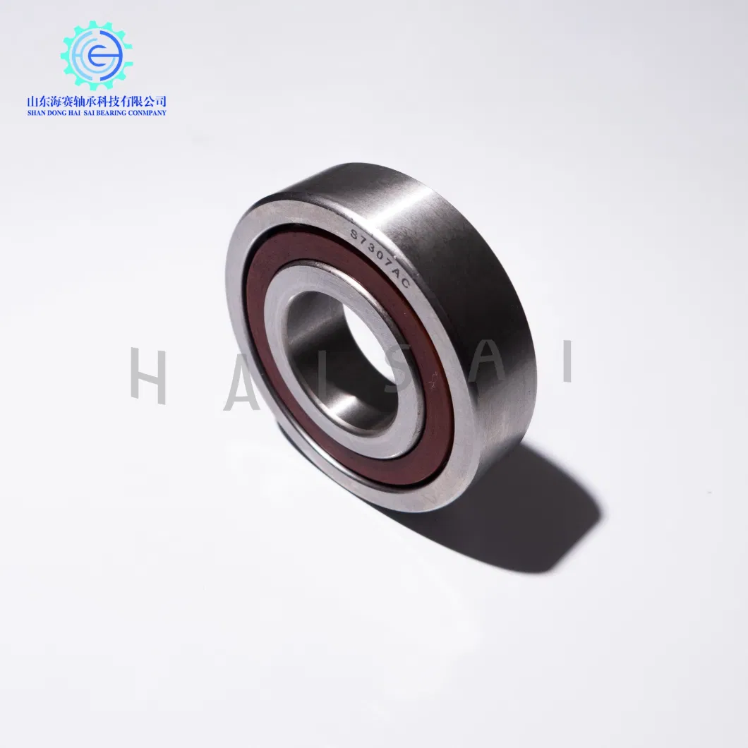 Steel Cage Chrome Steel Bearing with Catalog 7304AC 7305AC 7306AC 7307AC Standard Size Angular Contact Ball Bearing