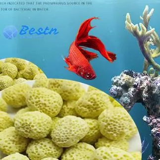 Fish Tank Biofilter Media Ceramic Far Infrared Bacterial House Ball Aquarium Bio Ball