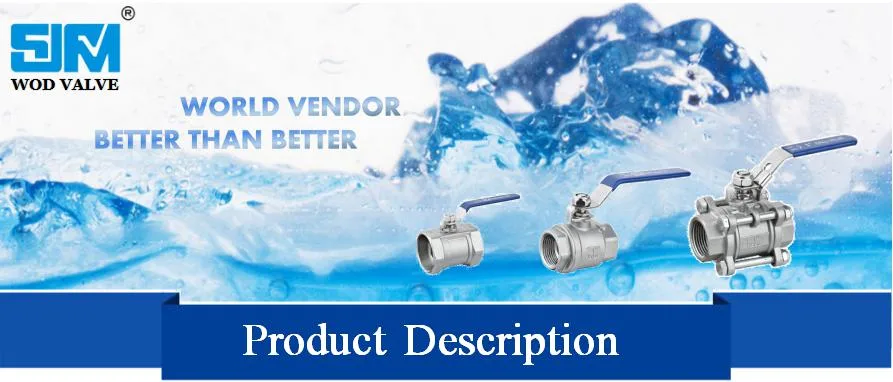 Bsp Stainless Steel CF8/CF8m DN15 Floating Check Valve/Strainer/Globe Valve/Ball Valveindustrial/Sanitary Full Bore Threaded NPT/BSPT/