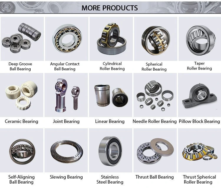 Steel Ball Factory Supply Cycle Ball 1/8&quot; 5/32&quot; 3/16&quot; 7/32&quot; 1/4&quot; 4mm 5mm 6mm Bicycle Bearing Ball