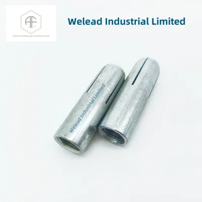  M16 Fallenlassen in Anker Beton Befestigungs Bullet Anker Expansion stark Heavy Duty Gewinde Carbon Stahl Edelstahl Zink Kein Rändel Großhandel