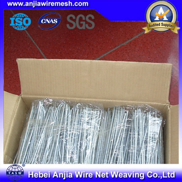 Electro Galvanized Binding Iron Wire Metal Wire for Building