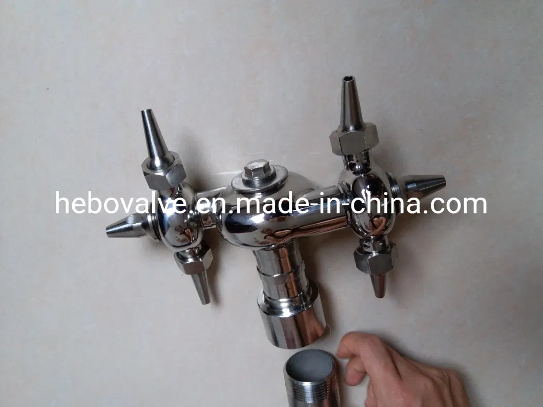 Sanitary Stainless Steel Weld/Thread Fixed Spray Ball