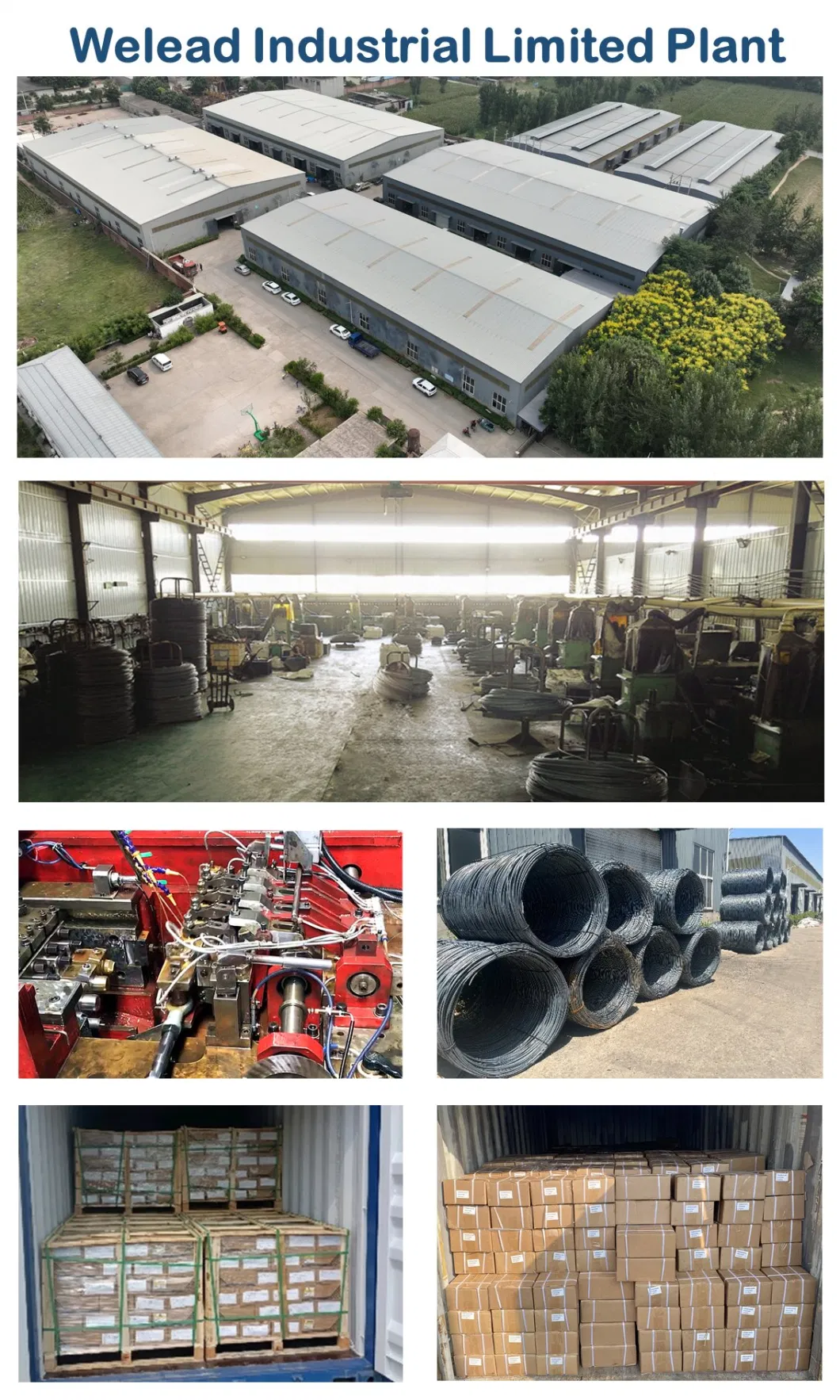 Drop in Anchor Concrete Fastener Fixing Nut Strong Bullet Anchor Fastener Expansion Threaded Carbon Steel Zinc Coating China Factory