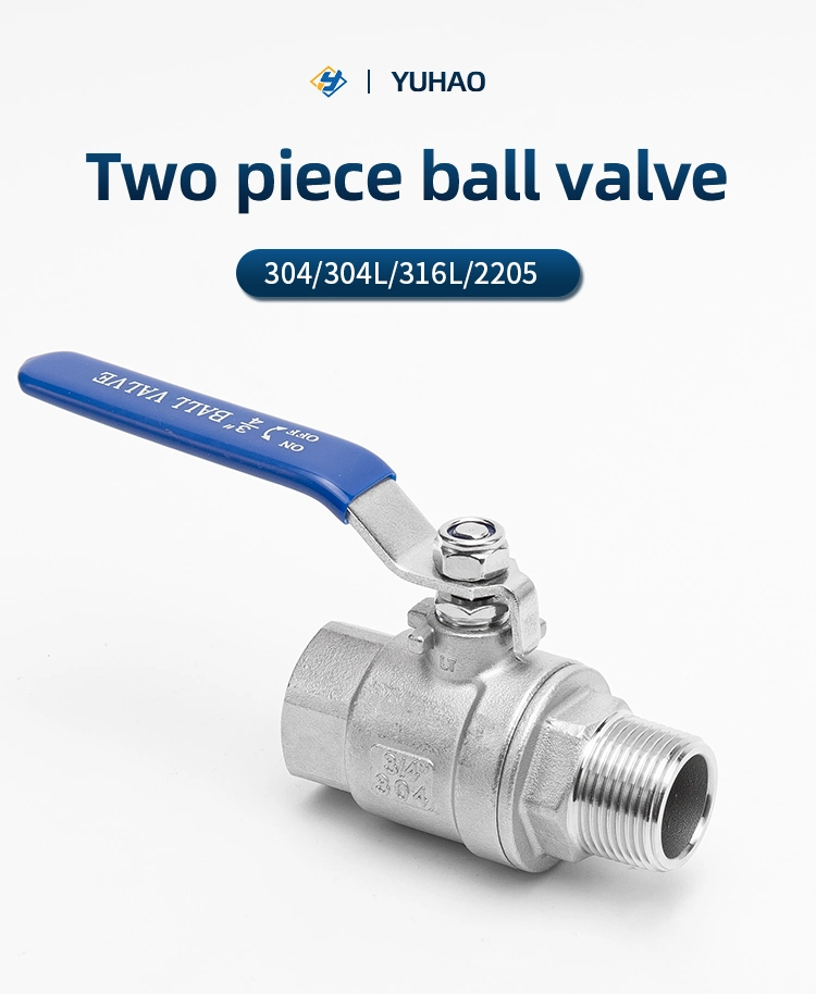 304 316L Male Female Thread Stainless Steel Bsp NPT 2 PCS Ball Valve with Pull Handle and Locking Device