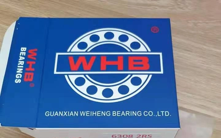 China Factory 2.5mm to 20mm Different Size Ceramic/Stainless Steel Ball Bearing Ball