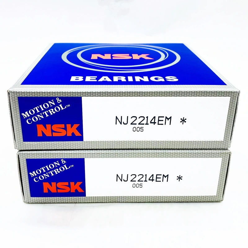 NSK NTN NACHI Asahi Linear/ Thrust/ Pillow Block/ Deep Groove/ Ceramic/ Stainless Steel Ball Bearing 6200 6201 6202 6203 6204 6205 as Chamfer