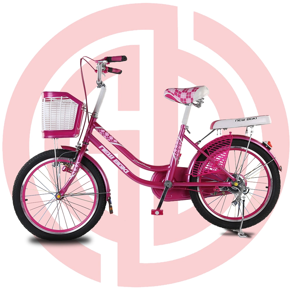 Pink Bike Kids Bicycle Children Bike Bicycle Girls Cycle