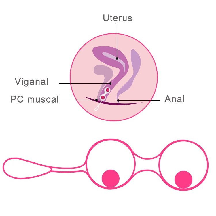 Smart Kegel Balls Can Change Balls Vaginal Tighting Exercise Vaginal Ben Wa Balls Set Sex Toys for Woman