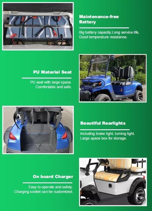 Wholesale Manufacture Custom Carts Electric Golf Carts