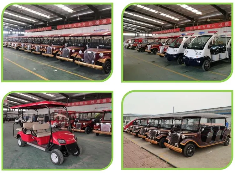 Graceful Design Energy 2 Seats Hunting Golf Carts for Sale