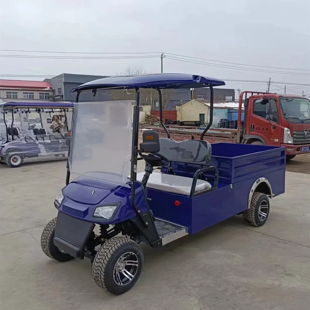 Cheap 2 Seater Golf Cart New Electric Car Electric Pickup Truck for Sale