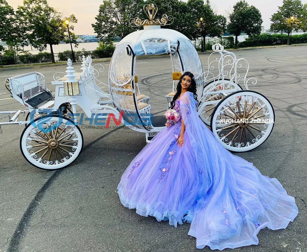 Hot Sale Decorative Cinderella Wedding Carriage Sightseeing Horse Cart