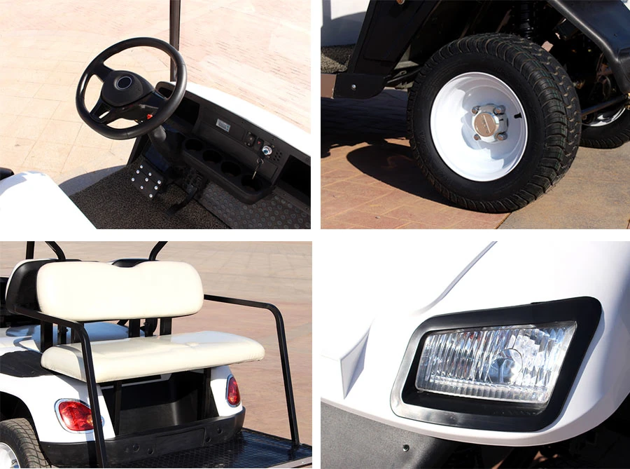 6 Person Electric Golf Cart with Competitive Prices