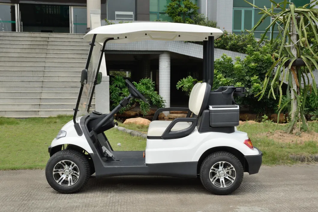 2 Seater High Quality Battery Operated Golf Course Blue Red White Golf Car