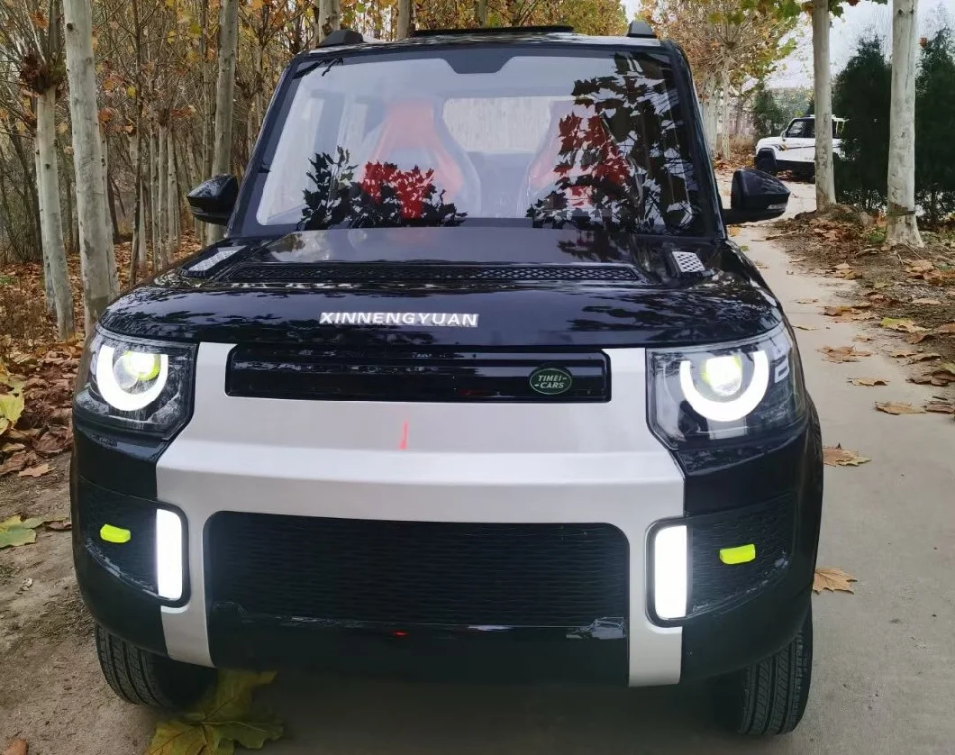 High Quality 4-Wheel Adult Electric Car Range Rover 2023 New Energy Car