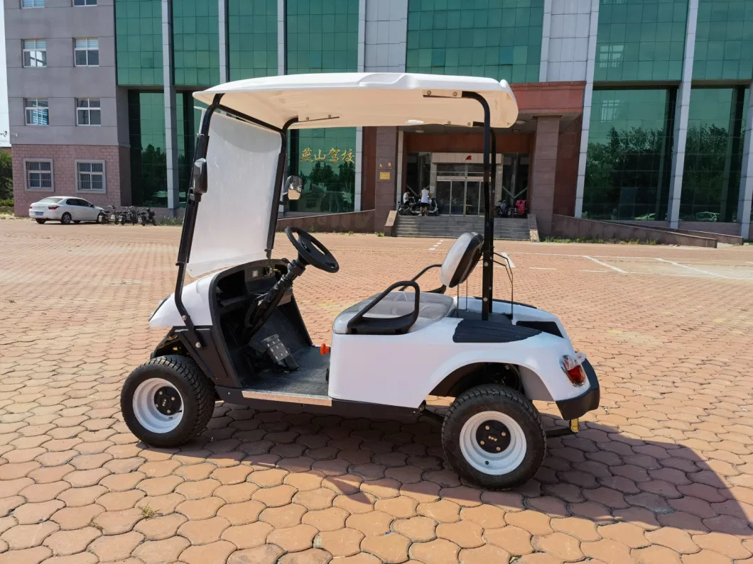 Made in China Golf Electric Sightseeing Vehicle, Single Row, Two Seats