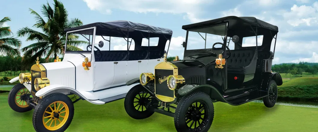 2023 New Style Classic Electric Vintage Vehicle in Lsv