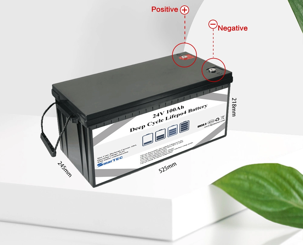 Rechargeable Deep Cycle 24V 50ah 100ah LiFePO4 Battery for Solar Storage System/UPS /Golf-Cart/ EV/ RV/Marine/Boats/Storage Solar